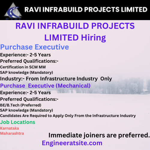 RAVI INFRABUILD PROJECTS LIMITED